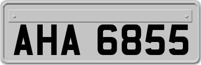AHA6855