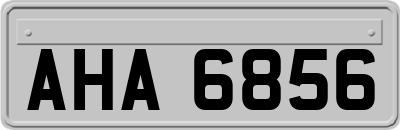AHA6856