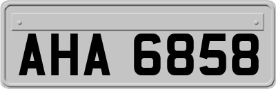AHA6858
