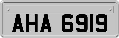 AHA6919