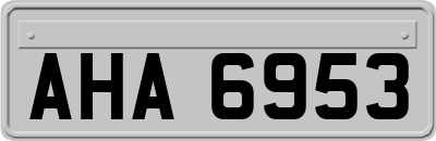 AHA6953