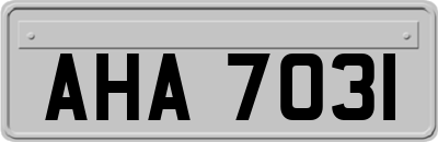 AHA7031