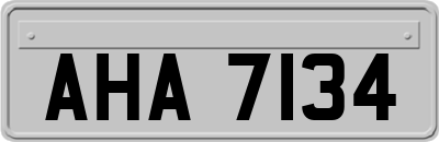 AHA7134