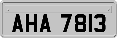 AHA7813