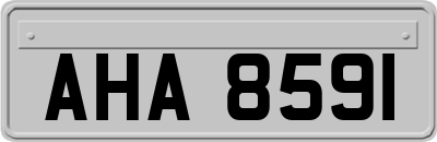 AHA8591