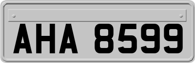 AHA8599