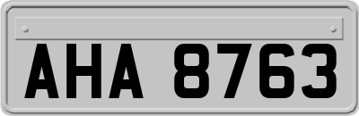 AHA8763