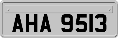 AHA9513