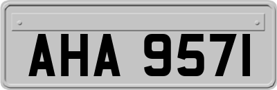 AHA9571