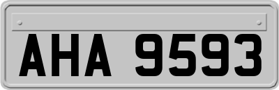 AHA9593