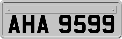 AHA9599