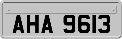 AHA9613