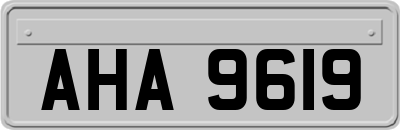 AHA9619