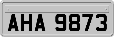 AHA9873