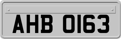 AHB0163