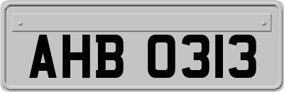 AHB0313