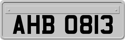 AHB0813