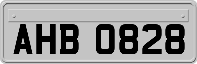 AHB0828