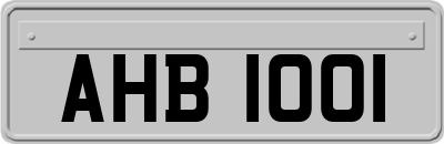 AHB1001