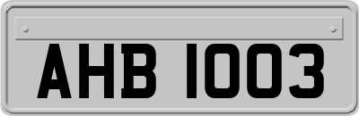 AHB1003