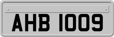 AHB1009
