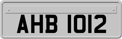AHB1012