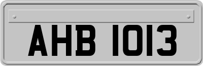 AHB1013