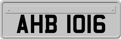 AHB1016