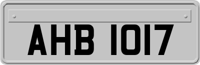 AHB1017