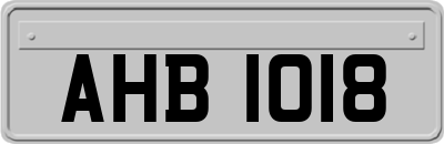 AHB1018