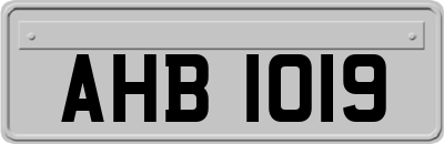 AHB1019