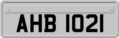 AHB1021