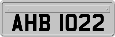AHB1022