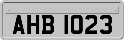 AHB1023
