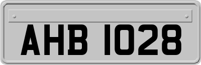 AHB1028
