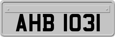 AHB1031