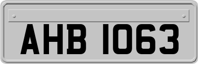 AHB1063