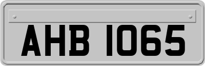 AHB1065