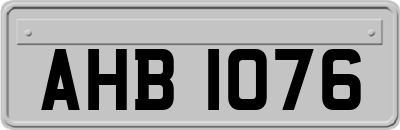 AHB1076