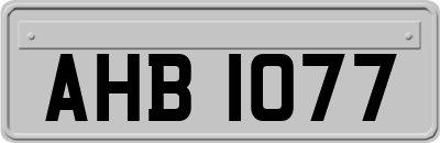 AHB1077