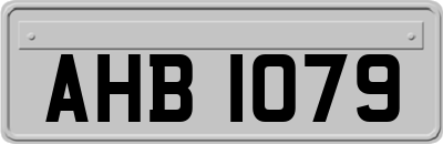 AHB1079