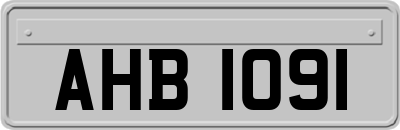 AHB1091