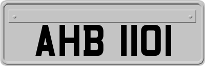 AHB1101