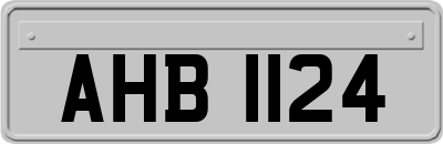 AHB1124