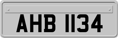 AHB1134