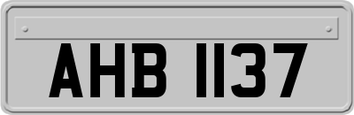 AHB1137