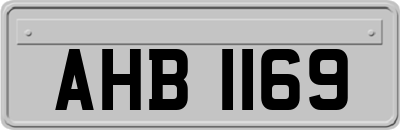 AHB1169