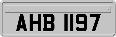 AHB1197