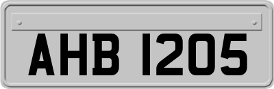 AHB1205