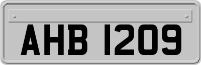 AHB1209